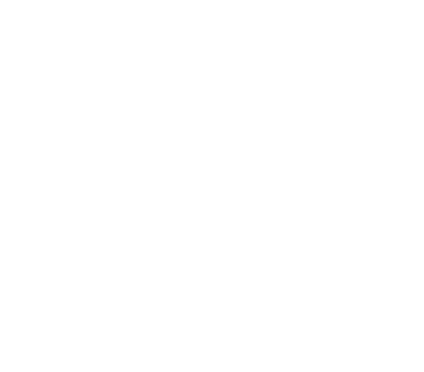 logo fz autotrasporti